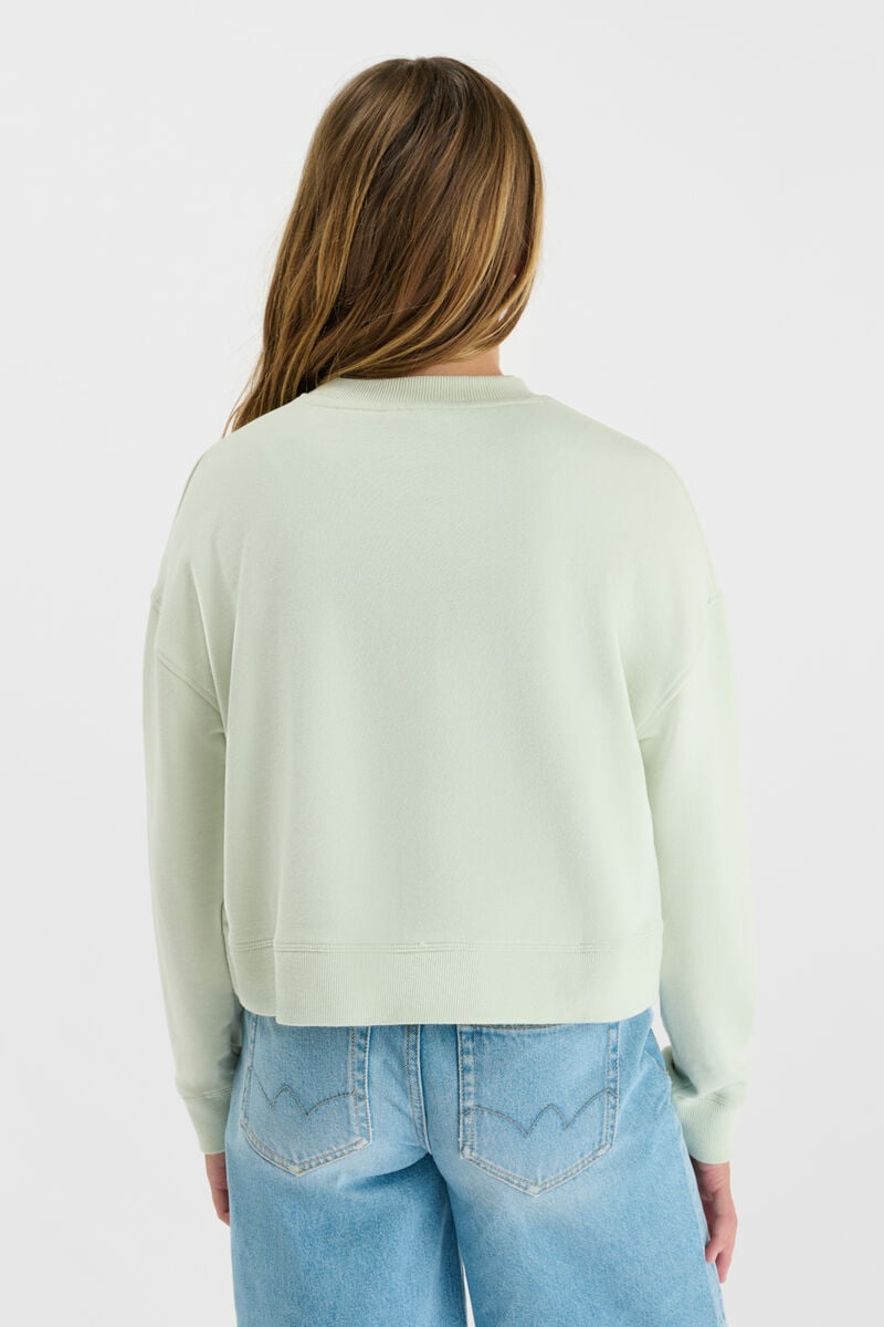 Astagi Sweatshirt