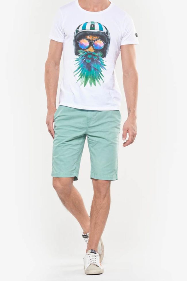 Robin water green shorts
