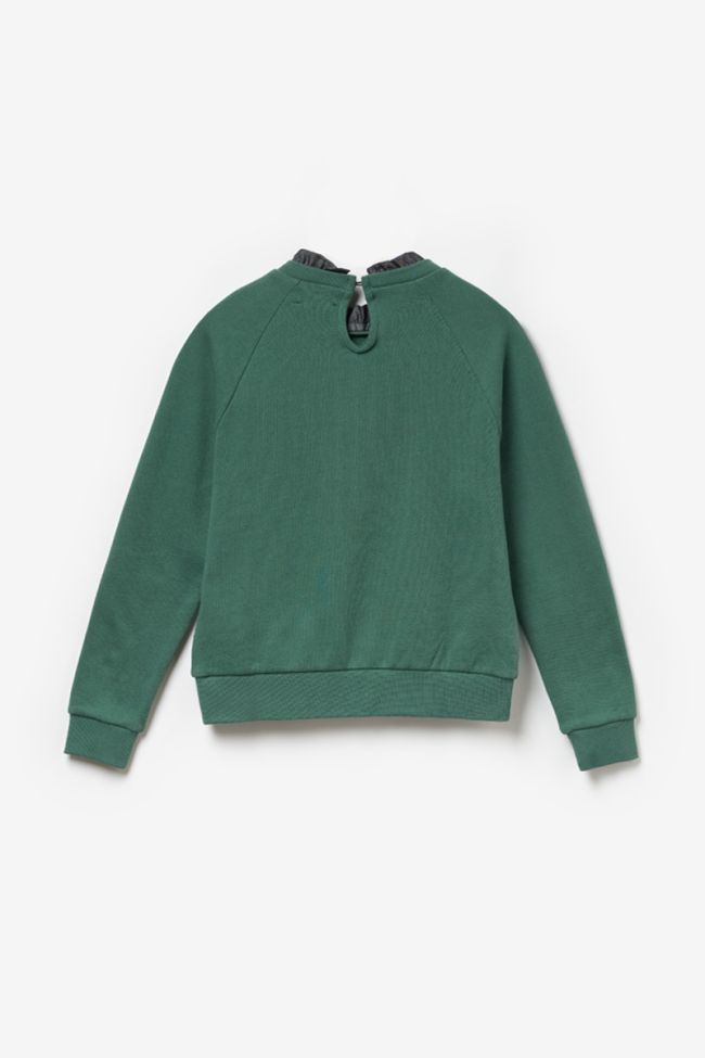 Printed forest green Chapigi sweatshirt