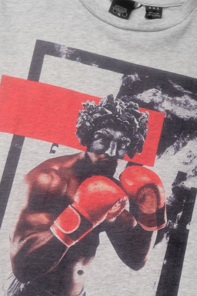 Printed grey Mauibo t-shirt