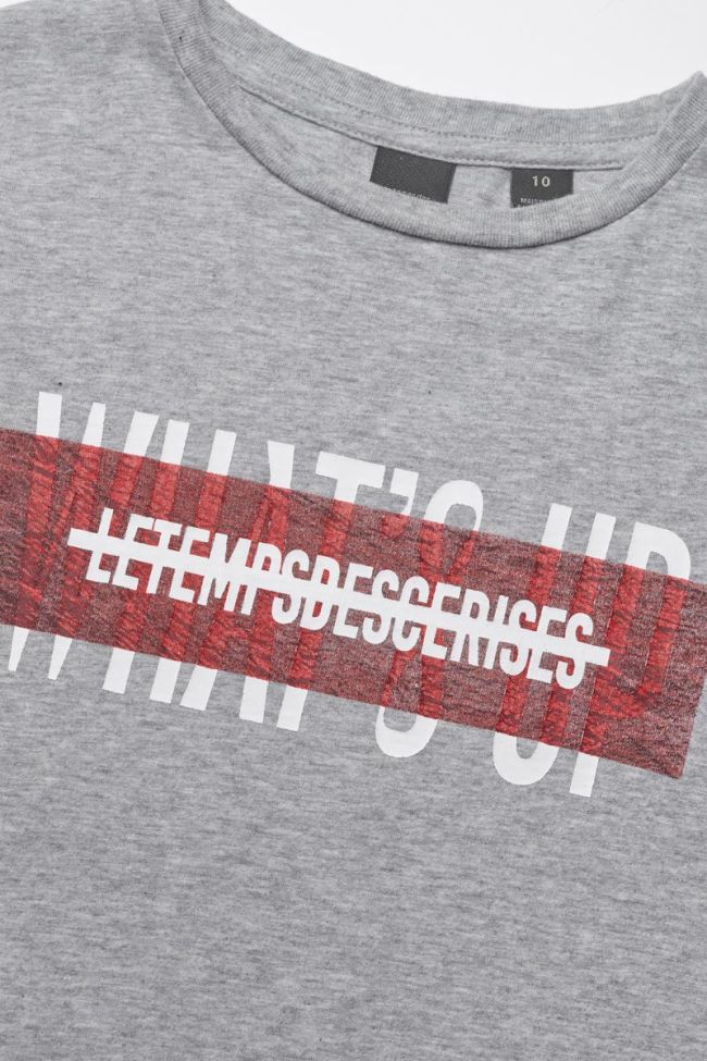 Printed grey Rodeobo t-shirt