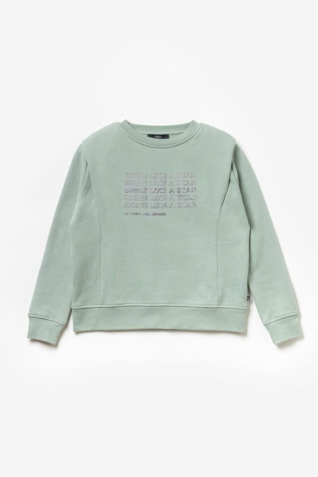Printed aqua Bunkergi sweatshirt