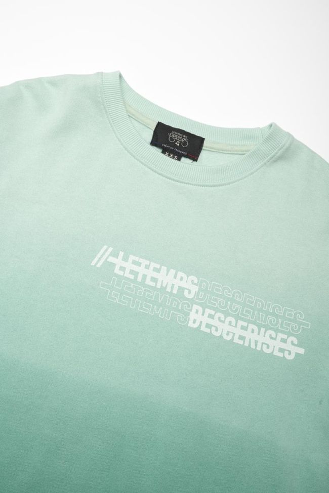 Turquoise Venicebo sweatshirt