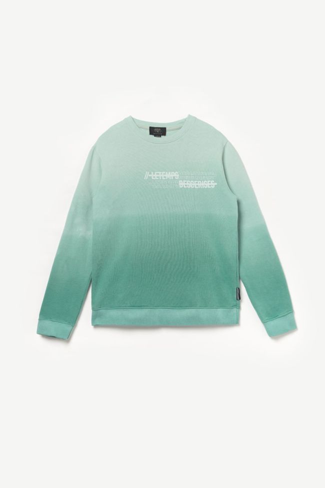 Turquoise Venicebo sweatshirt