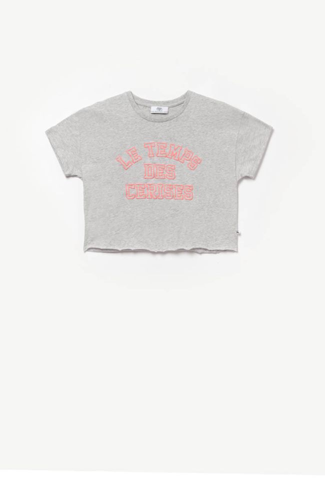 Grey Fluogi short t-shirt
