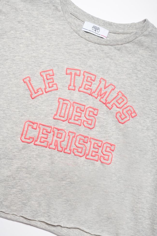 Grey Fluogi short t-shirt