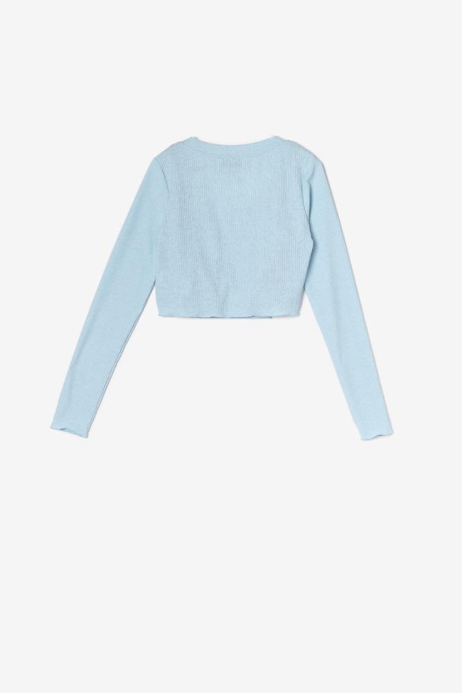 Blue Zebragi twin set