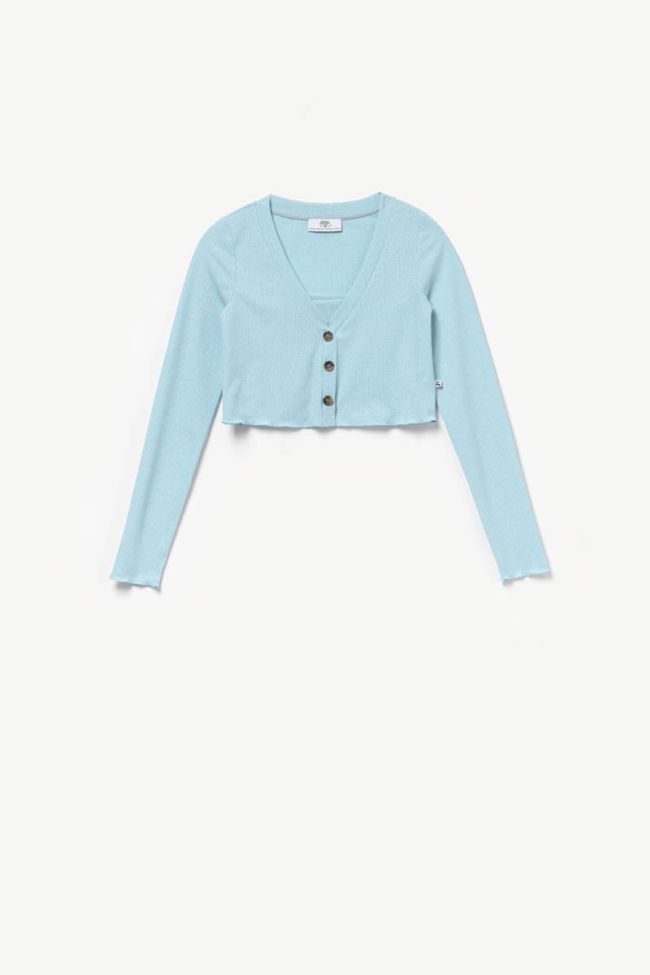 Blue Zebragi twin set