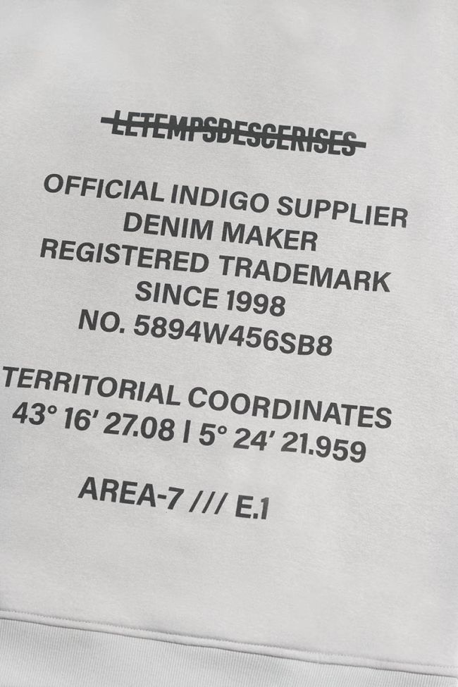 Tanbo light grey hoodie