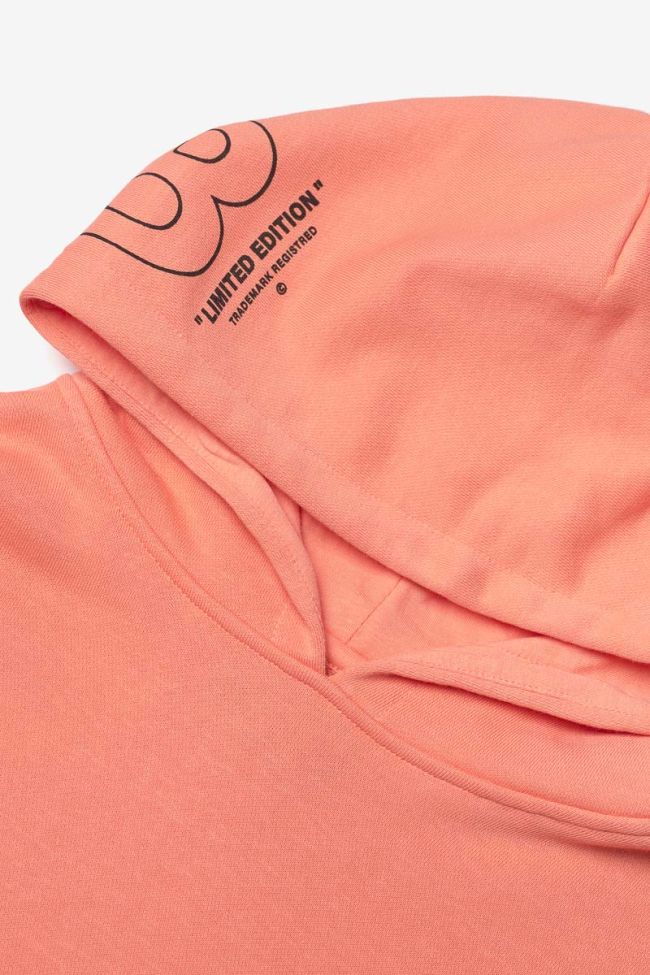 Sweat à capuche Hisabo corail