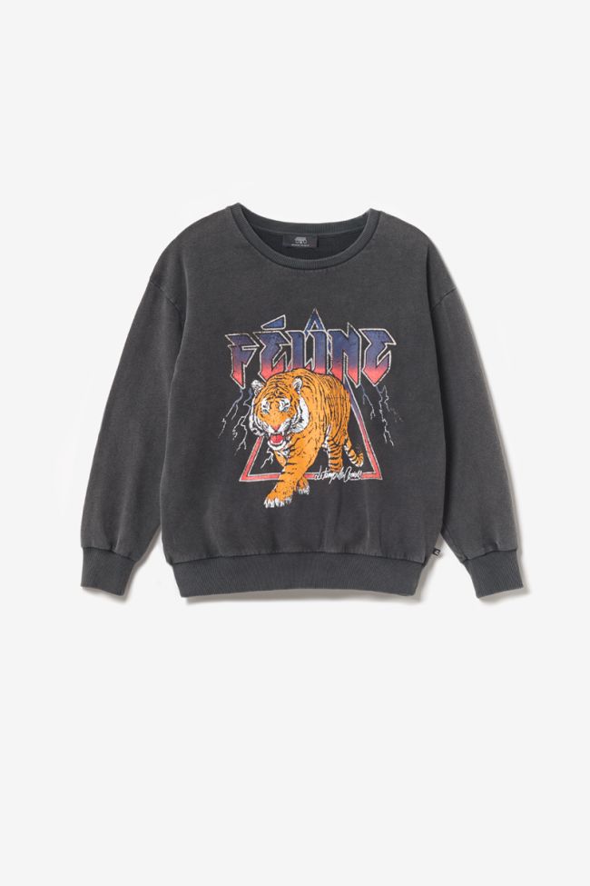 Nyke sweatshirt grey washed