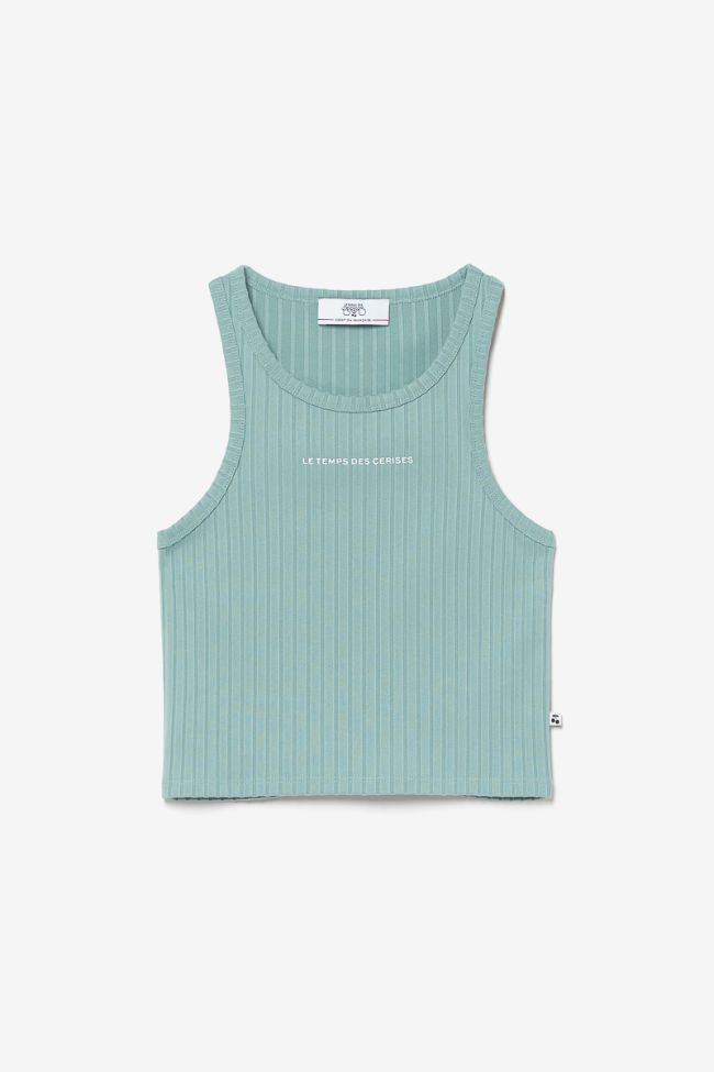 Aqua Vikengi crop top