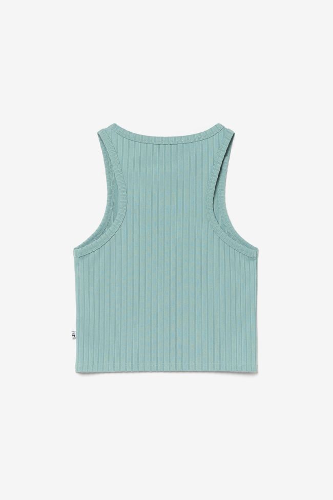 Aqua Vikengi crop top