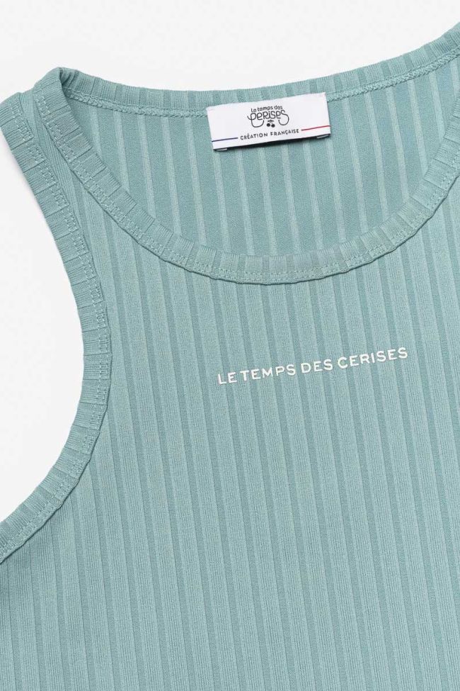 Aqua Vikengi crop top