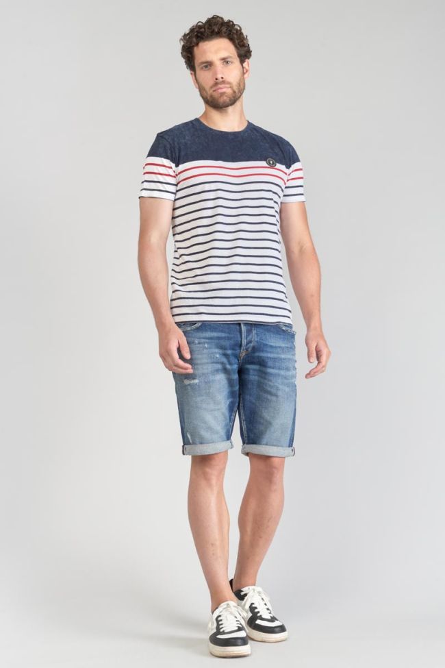 Striped Blank t-shirt
