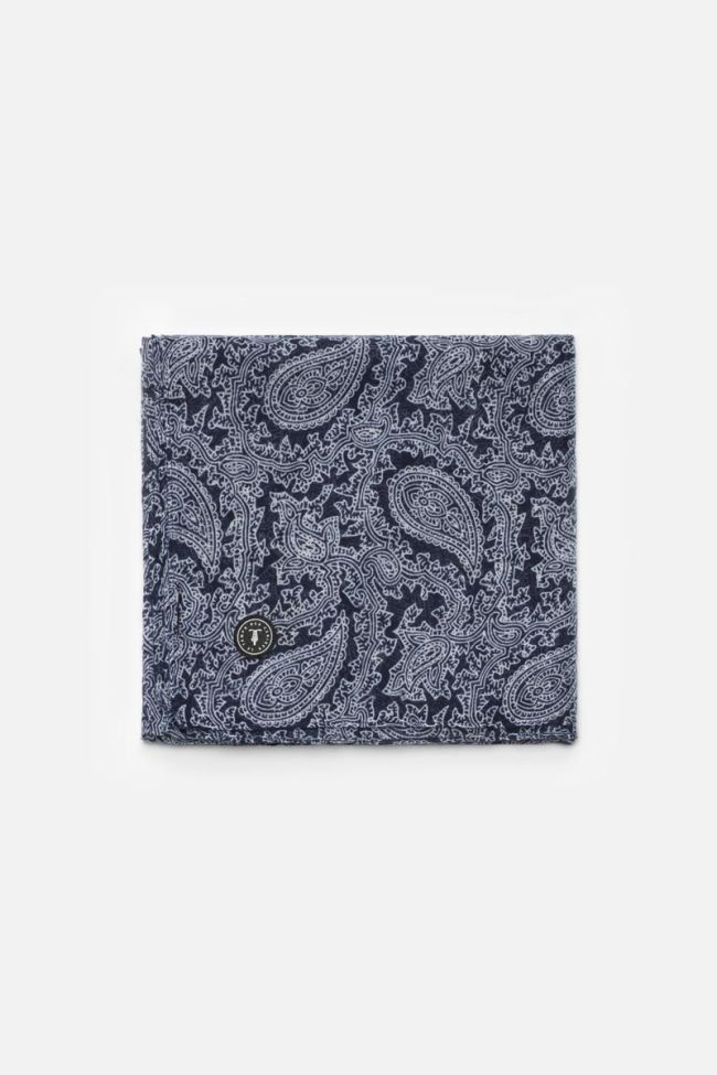 Paisley print Doler scarf