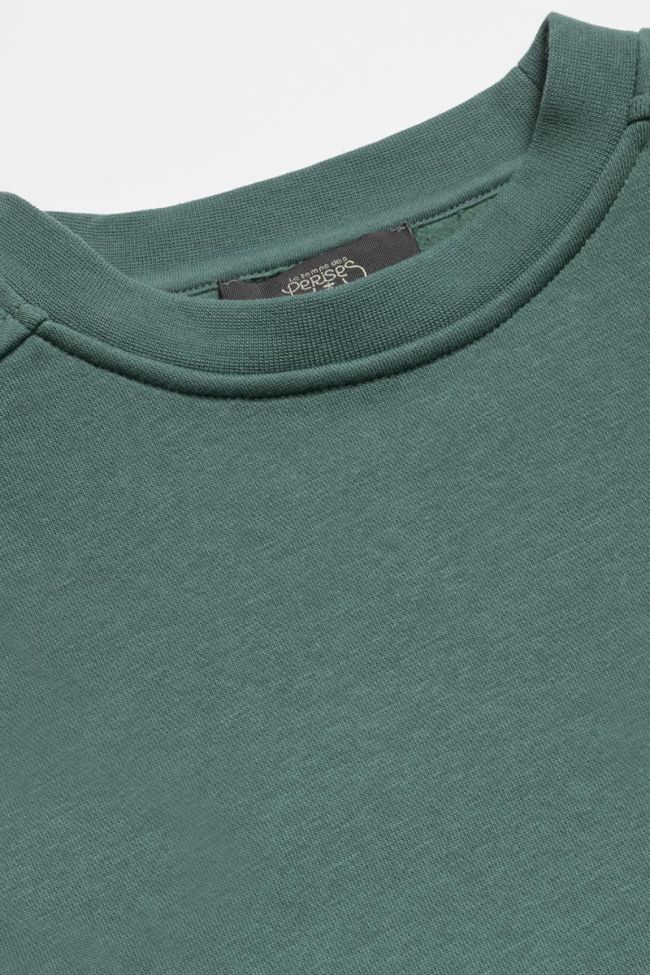 Pine green Leonbo sweatshirt