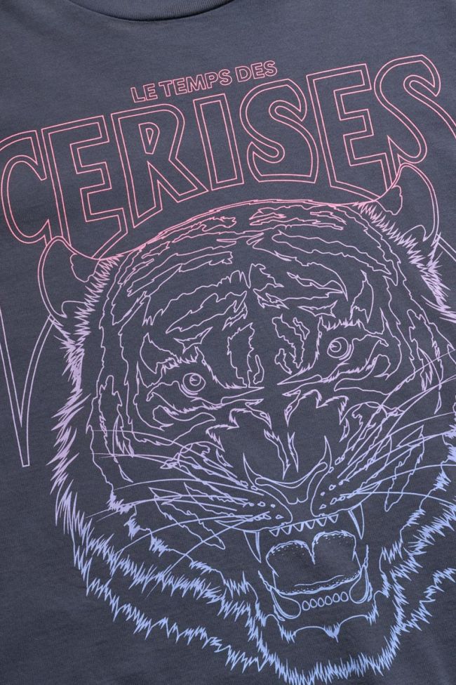 Faded blue Hoppergi t-shirt