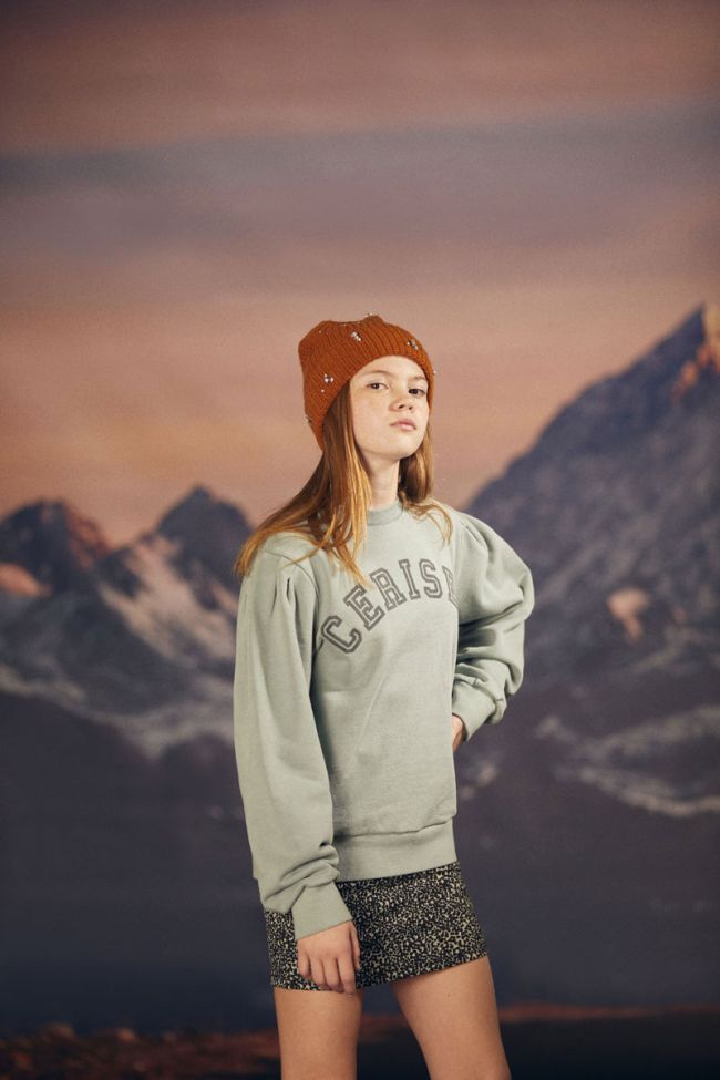 Sage green Moagi sweatshirt