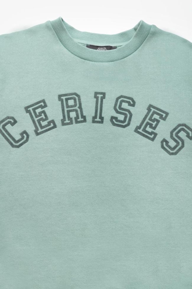 Sage green Moagi sweatshirt