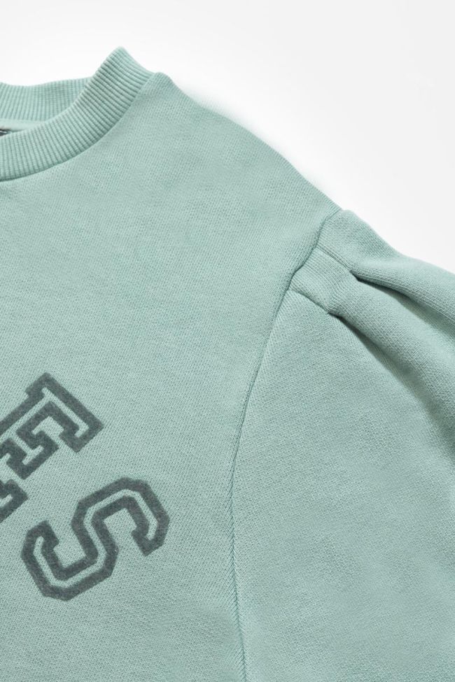 Sage green Moagi sweatshirt
