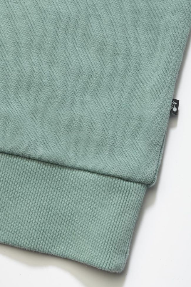 Sage green Moagi sweatshirt