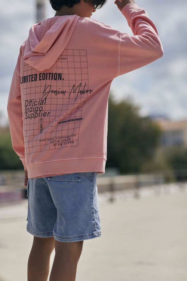 Salmon pink Anibo hoodie
