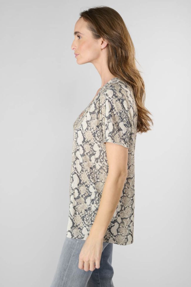 Python print Argent t-shirt