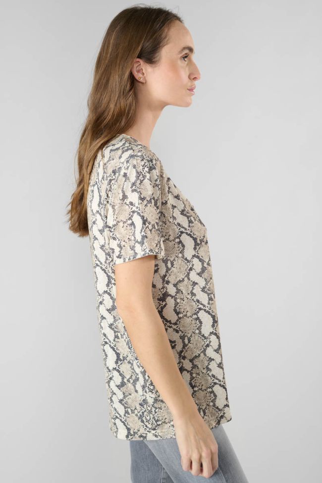 Python print Argent t-shirt