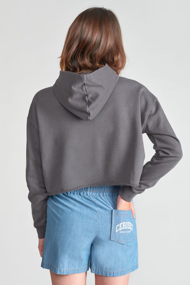 Grey Jainegi cropped sweatshirt