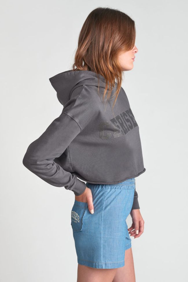 Grey Jainegi cropped sweatshirt