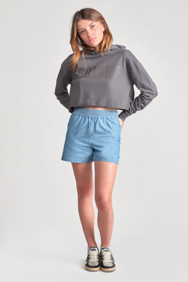 Grey Jainegi cropped sweatshirt