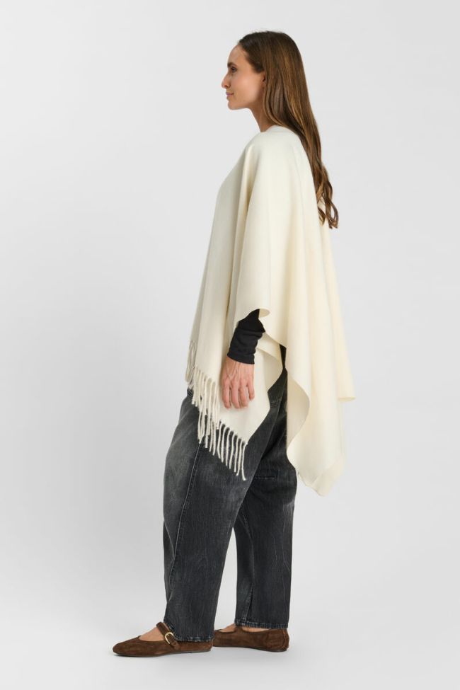 Eter poncho