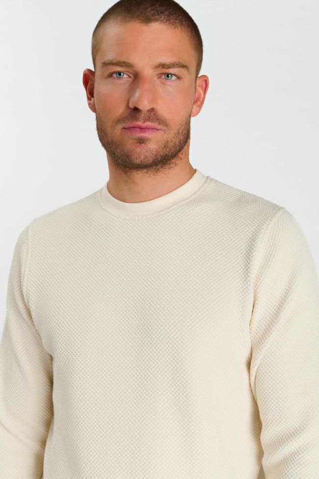 Cyro sweatshirt