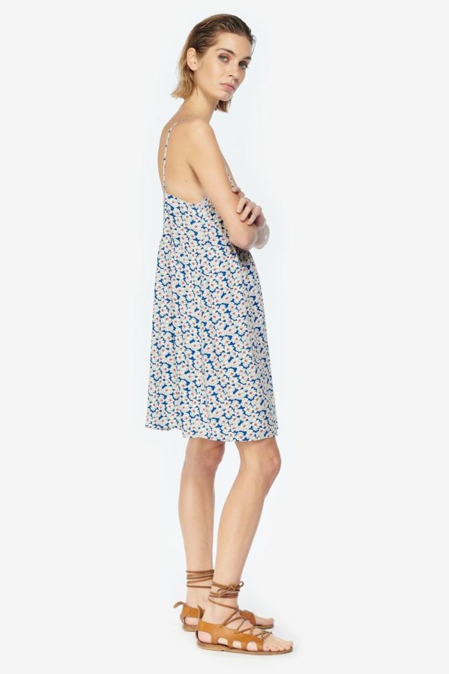 Long Roche dress with a blue and white floral pattern