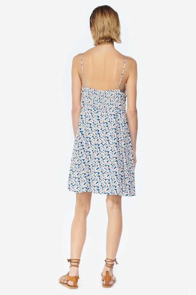 Long Roche dress with a blue and white floral pattern