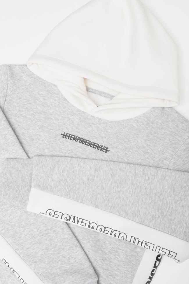 Printed grey and white Colorabo hoodie