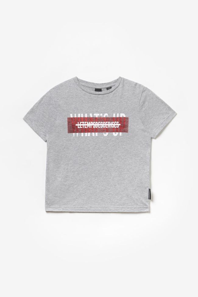 Printed grey Rodeobo t-shirt