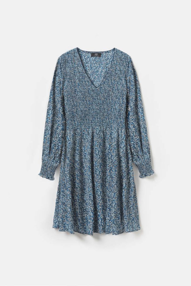 Blue floral Dickes dress