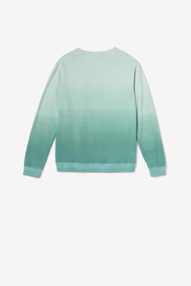 Turquoise Venicebo sweatshirt