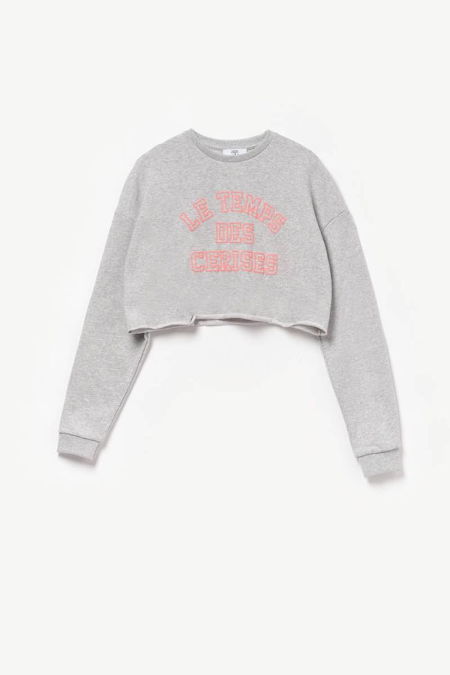 Grey Neongi short sweatshirt