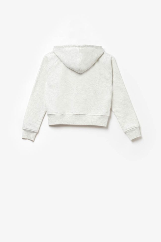 Light grey Rumgi hoodie