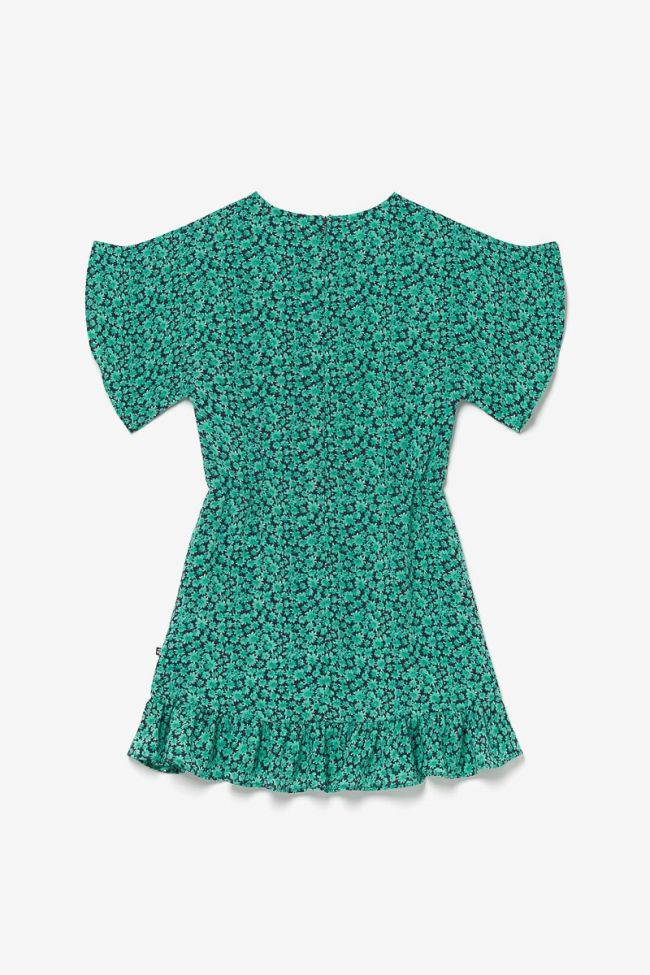 Green print Aliyagi dress