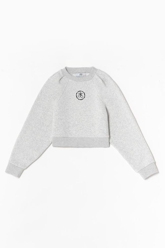 Grey marl Cobygi sweatshirt