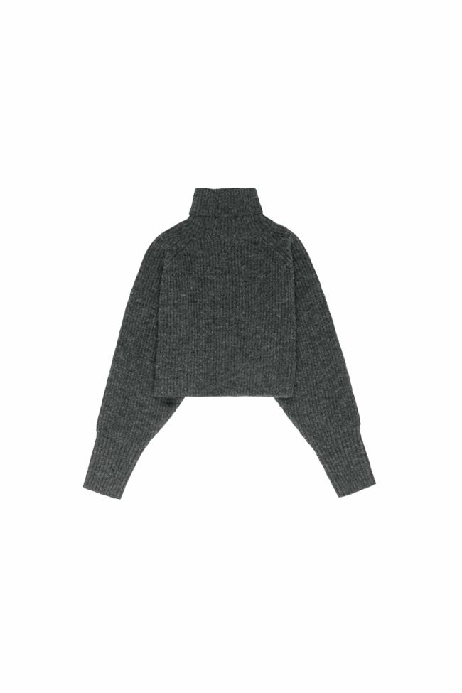 Grey Saiagi sweater