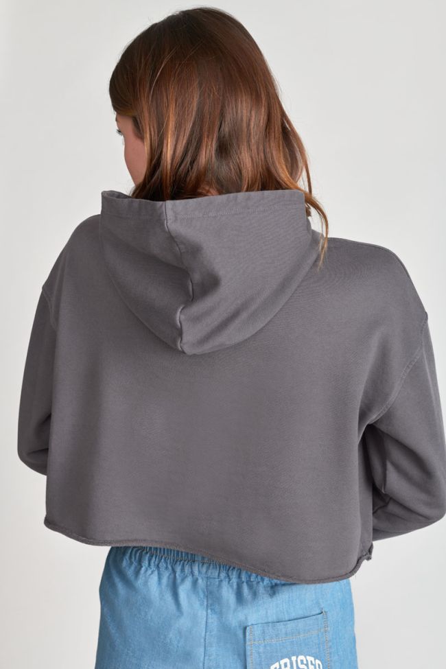 Grey Jainegi cropped sweatshirt