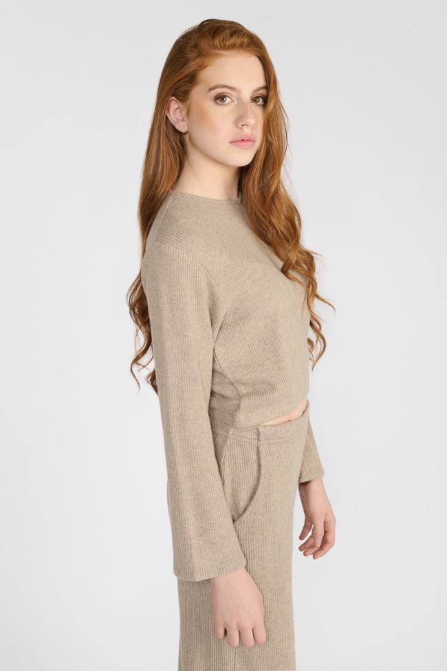 Auregi taupe sweatshirt