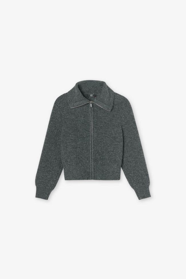 Cardigan zippé Fordgi gris