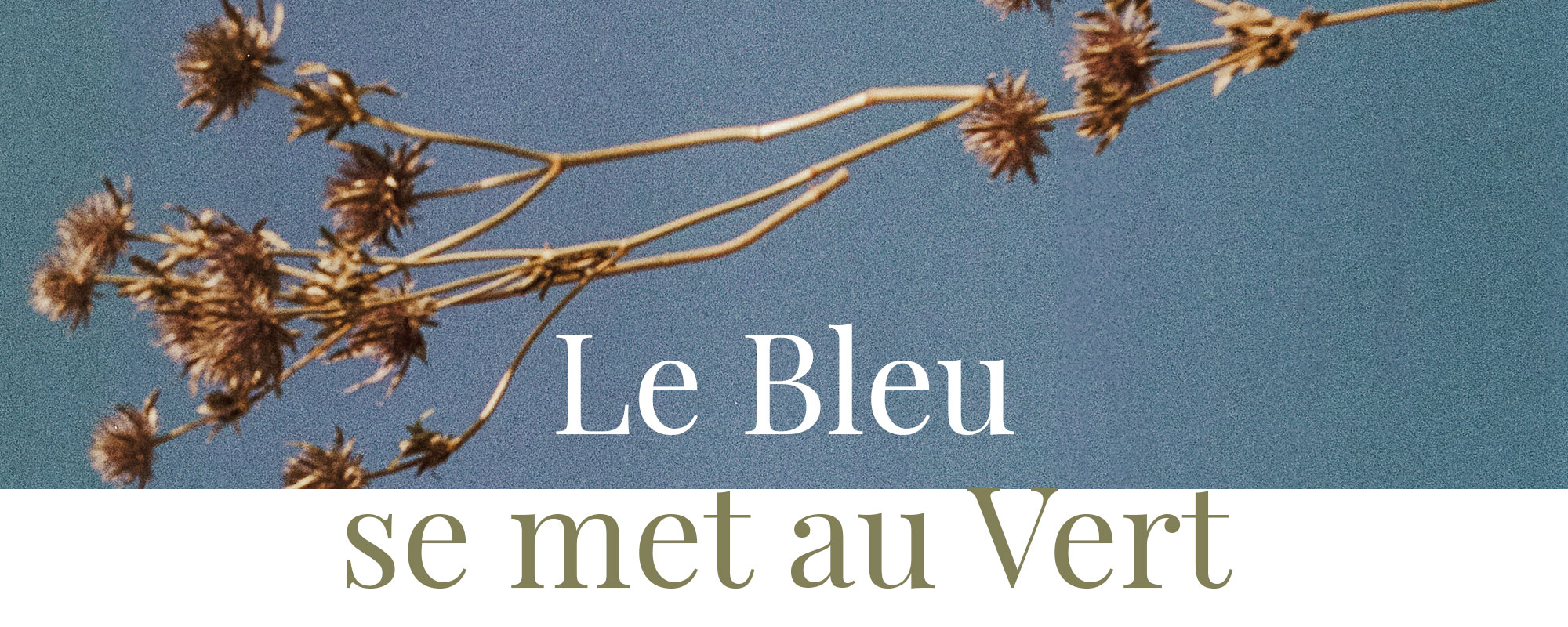 Nos engagements environnementaux Le Temps des Cerises